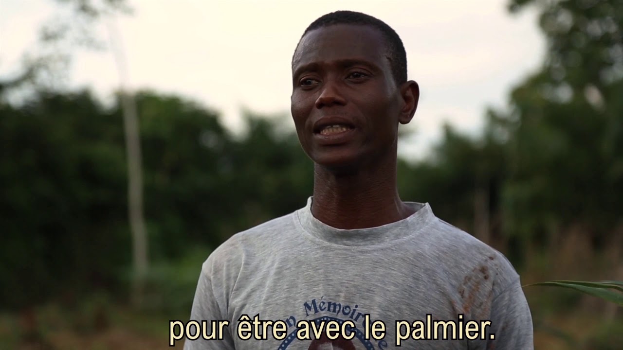Chercheurs et agriculteurs, association de cultures au Sud Bénin