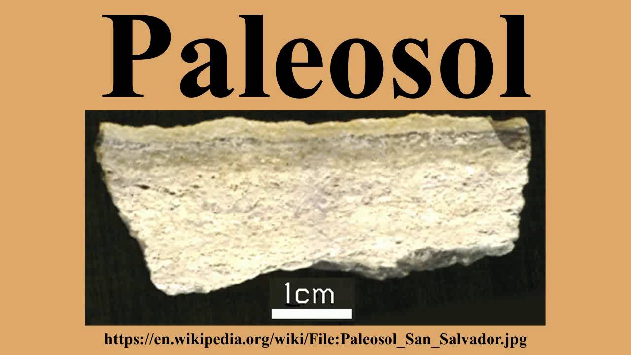 Paleosol