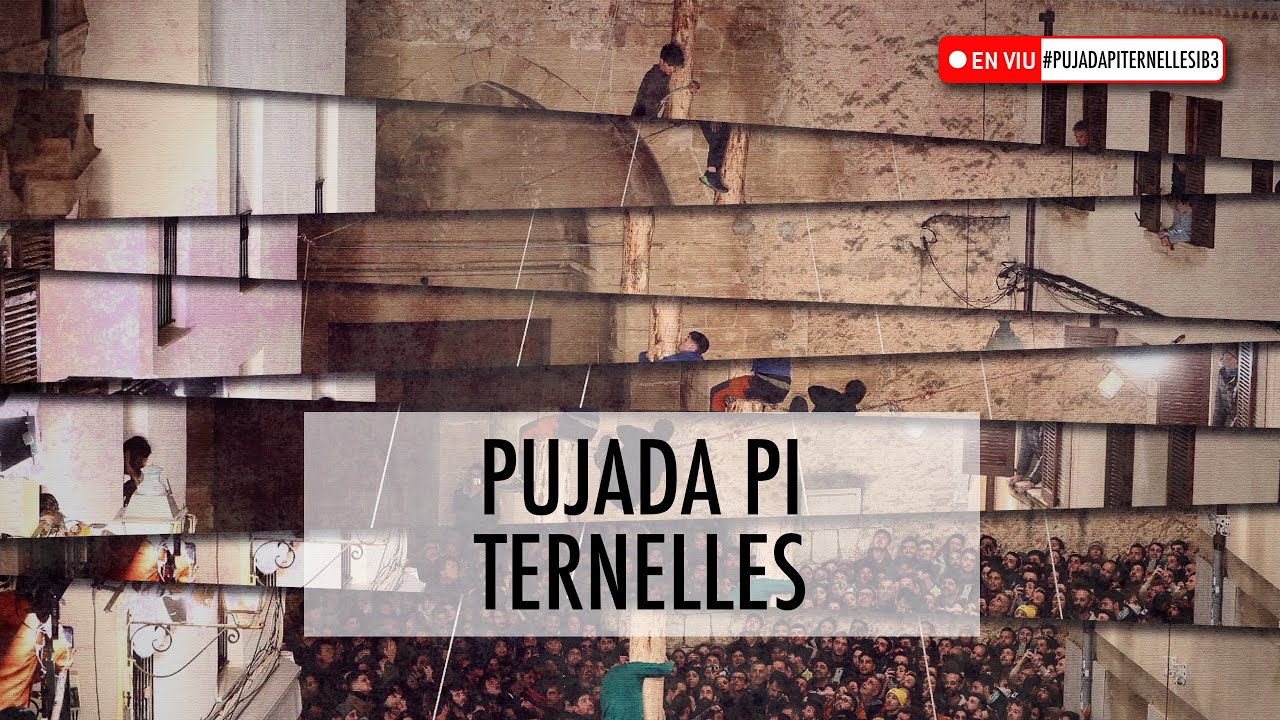 Pujada al pi de Ternelles | Pollença 2025