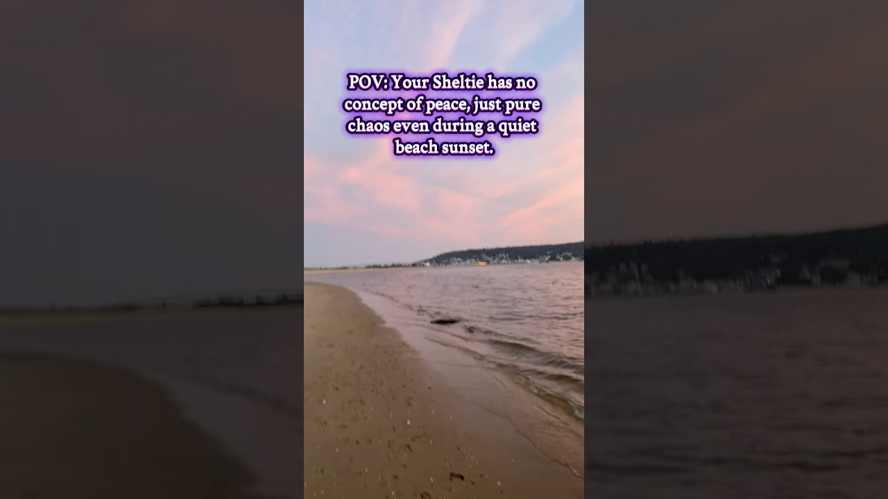 Непоседа вне службы представляет угрозу для общества, особенно когда дело касается пузырей 🫡 