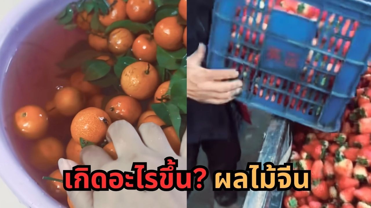 ช็อกจีน! คนเลิกกินผลไม้ ตลาดพัง ส้มล้นจนต้องเททิ้ง