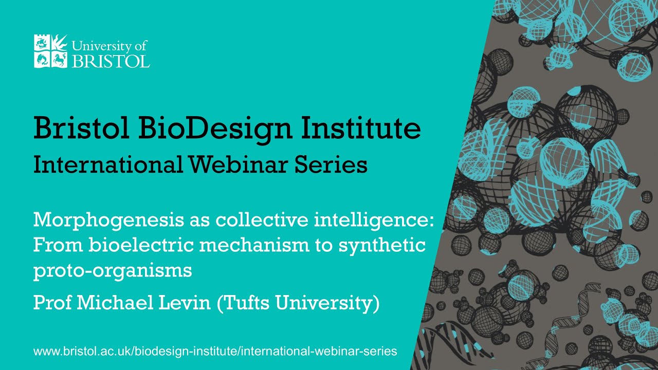 BBI International Webinar Series - Professor Michael Levin (Tufts University)