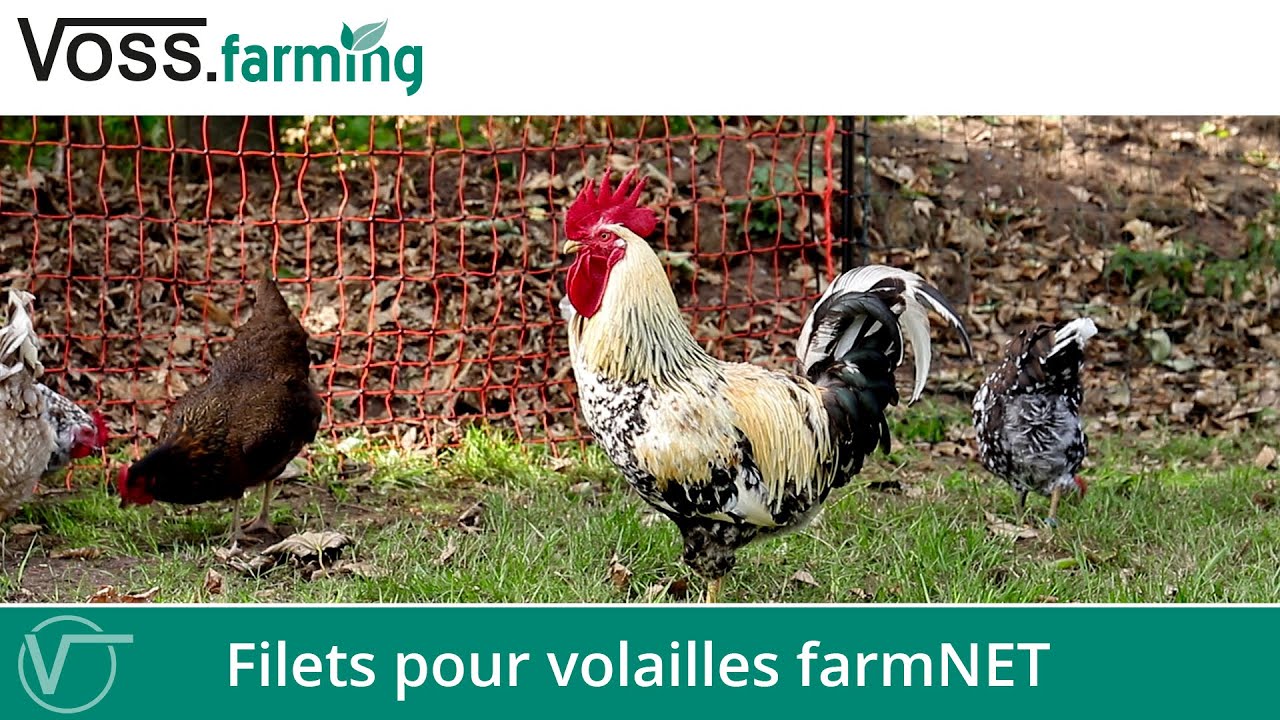 Filets pour volailles farmNET
