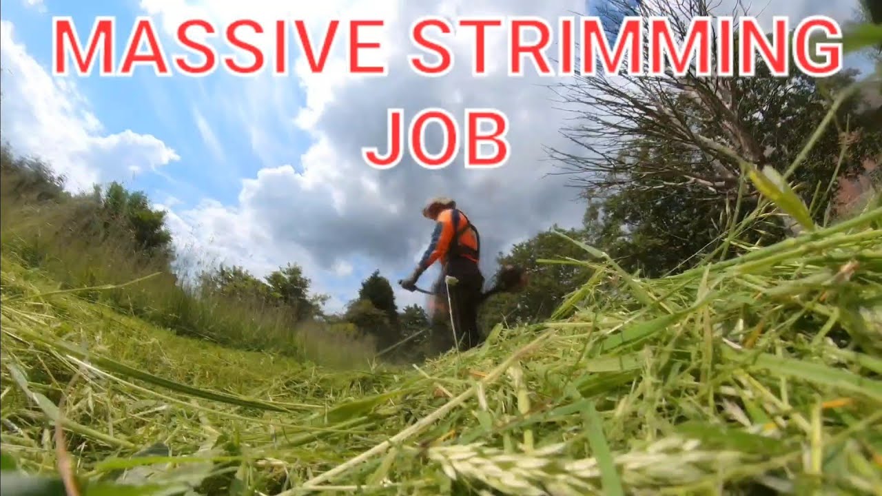 MASSIVE strimming job (weed whacker/ weed eater / line trimmer)