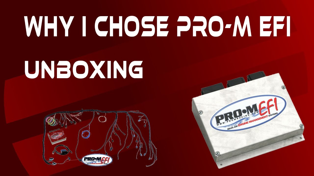Pro-M EFI - Fox Body Mustang Engine Management System Computer
