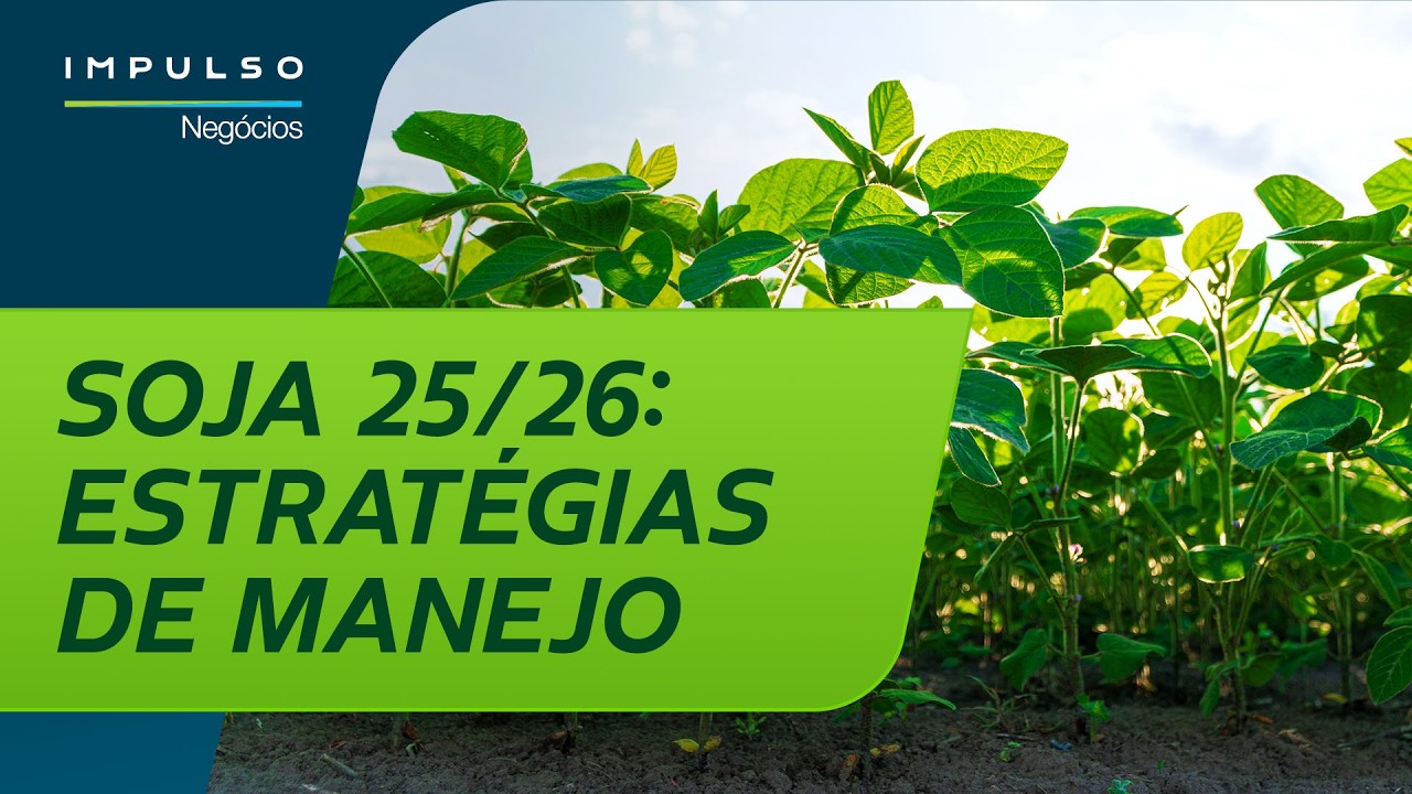 Soja 25/26: estratégias para produtividade | Impulso Negócios Ep. 187