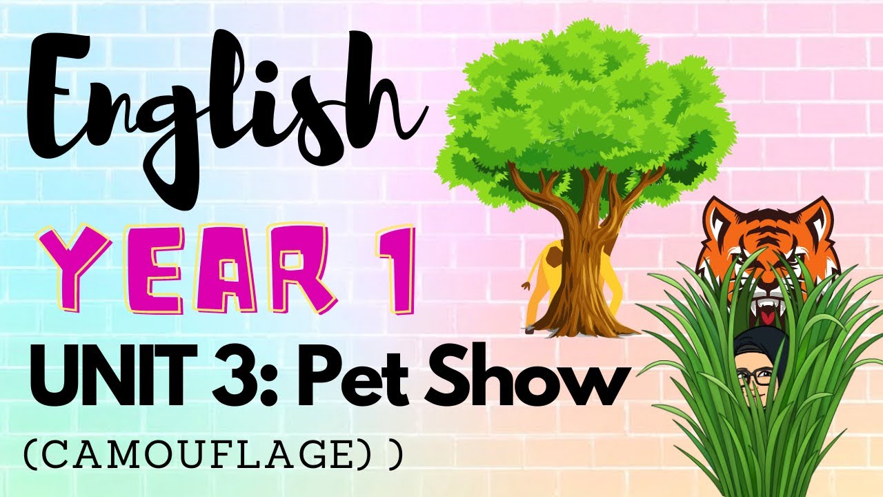 English Year 1: Unit 3: Pet Show (Camouflage)