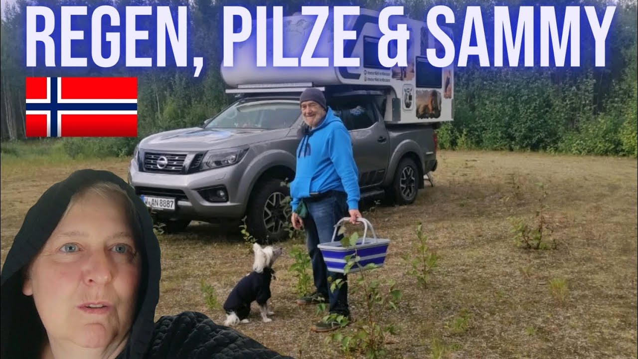 Spätsommer in Norwegen & nasse Wäsche im Schneckenhaus / Vollzeit-Vanlife-Reisen 