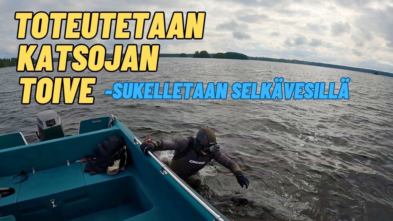 TOTEUTETAAN KATSOJAN TOIVE - SUKELLETAAN SELKÄVESILLÄ