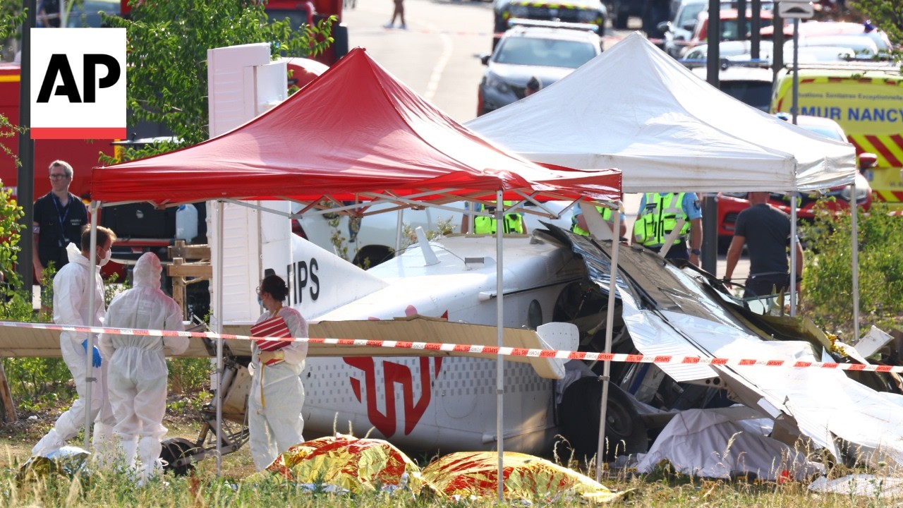 All 11 people on board killed after skydiving plane crashes in France