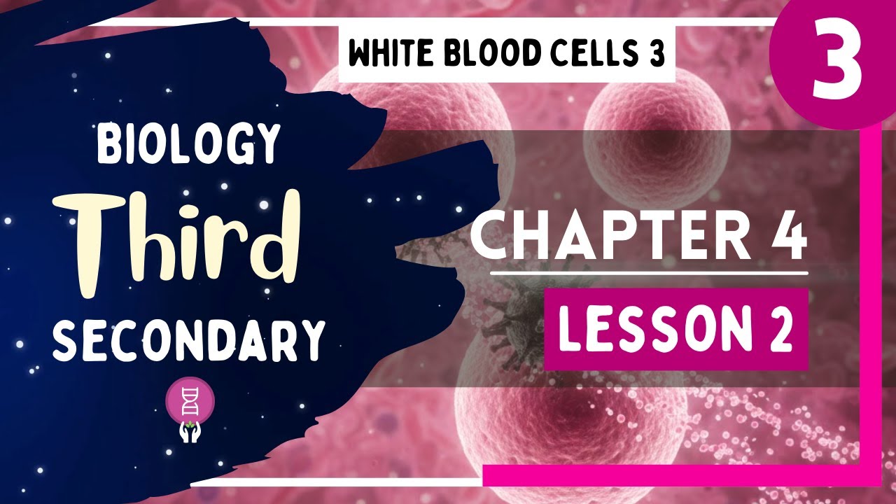 Biology 3rd Secondary Egypt - Chapter 4 - Lesson 2 - P3 (White Blood Cells 3)