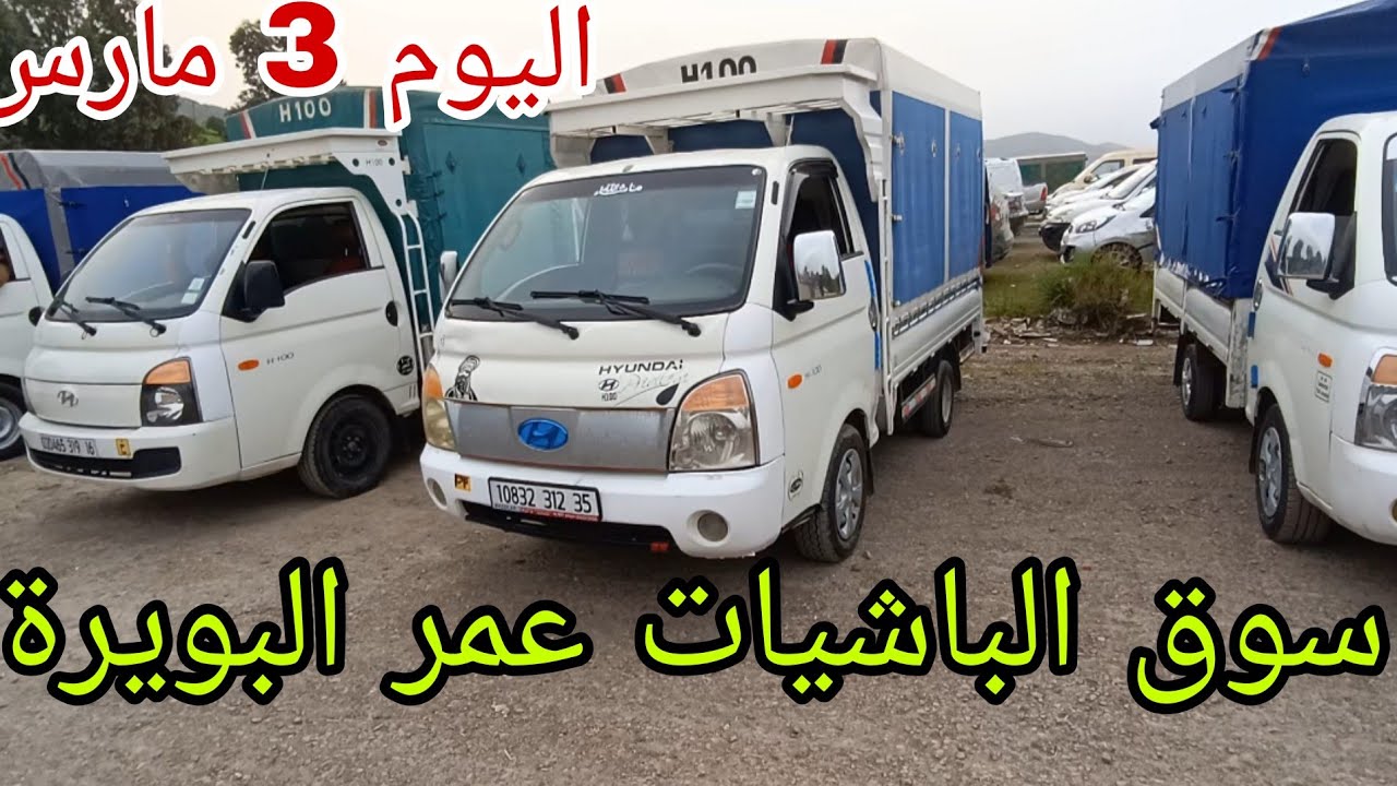 أسعار الباشيات اليوم 3 مارس 2026 سوق عمر البويرة 