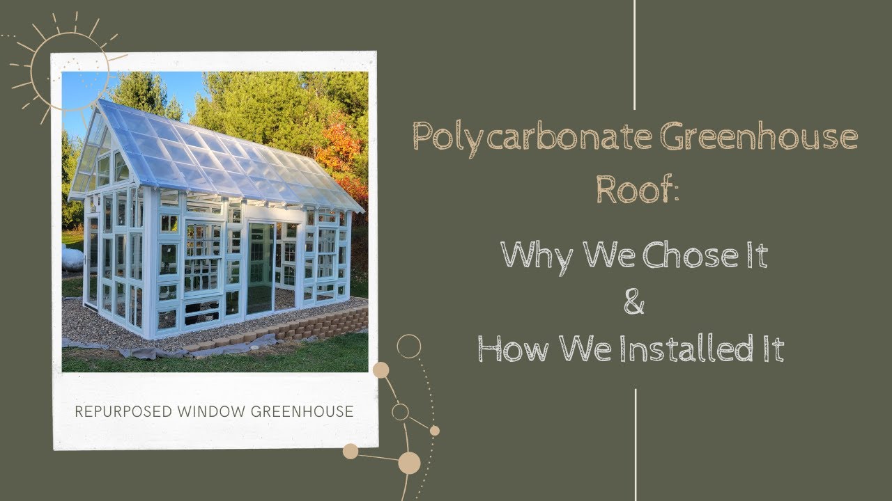 Polycarbonate Greenhouse Roof: Why We Chose It and How We Installed It