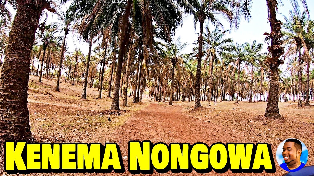 KENEMA NONGOWA - Eastern Province Sierra Leone  🇸🇱 Roadtrip 2022 - Explore With Triple-A