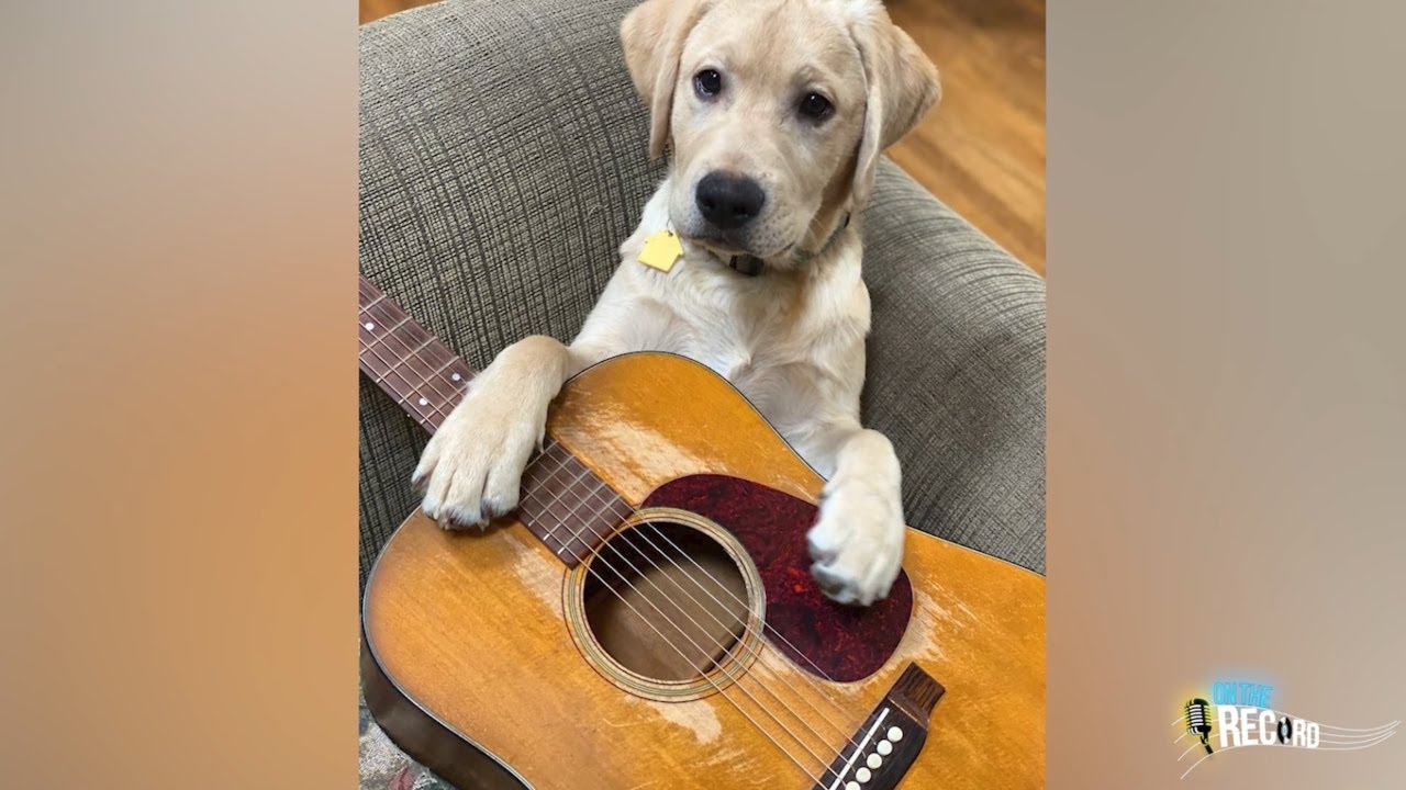 Charles Esten's dog, Ryman, is kin to the puppy on the hit tv show Nashville