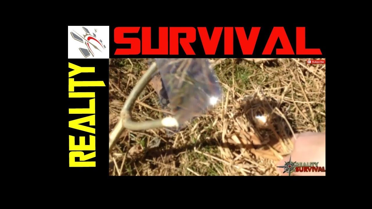How To Start A Fire With A Fresnel Lens / Magnifying Glass