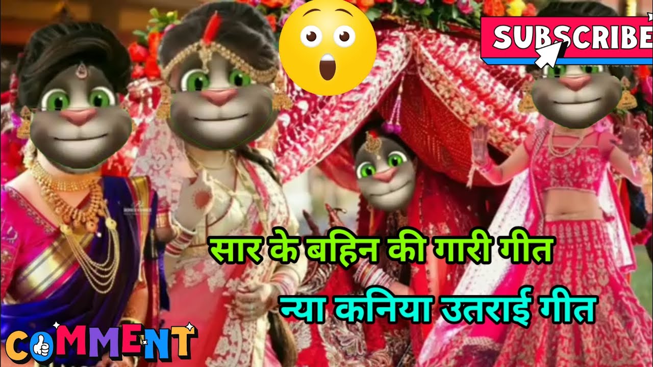 कनिया उतराई गीत😄😄 सार के बहिन की गारी गीत 