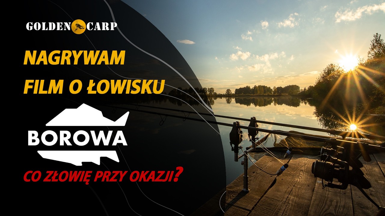 Łowisko Borowa - Lato 2024