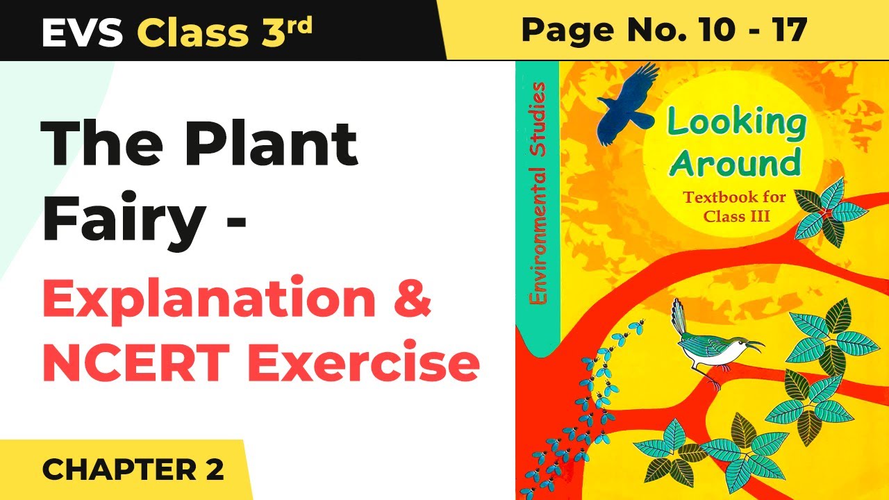 Class 3 EVS Chapter 2 | The Plant Fairy - Explanation & NCERT Exercise (Pg No. 10-17)