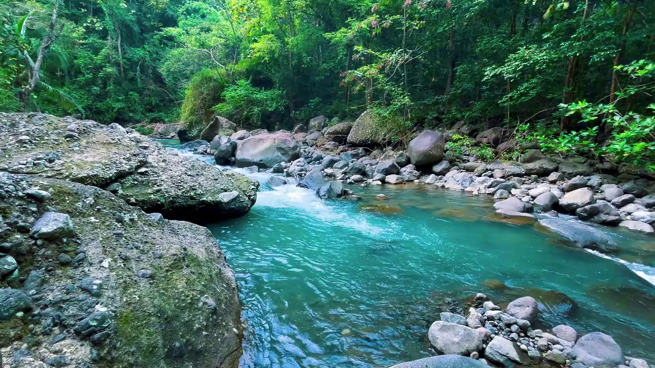 Sleep Better with Peaceful River Sounds | Relaxing Water White Noise for Insomnia & Anxiety