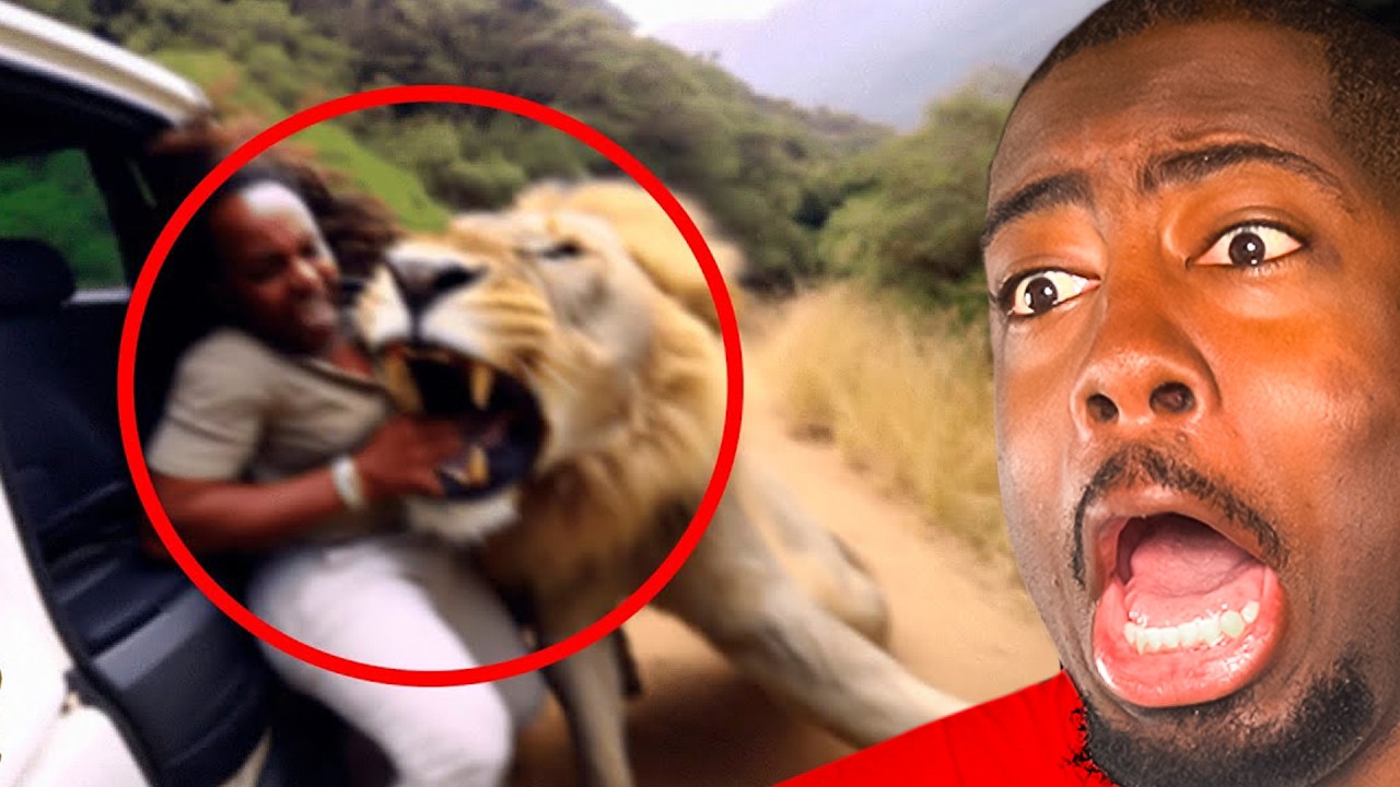 Scary Animal Moments That Will Make You Jump!