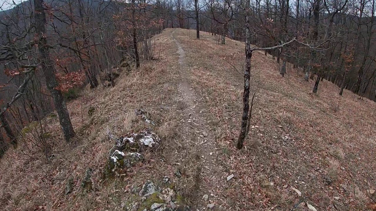 Monte Maggio Bike Domain - Torre Bibbaia - KOM run