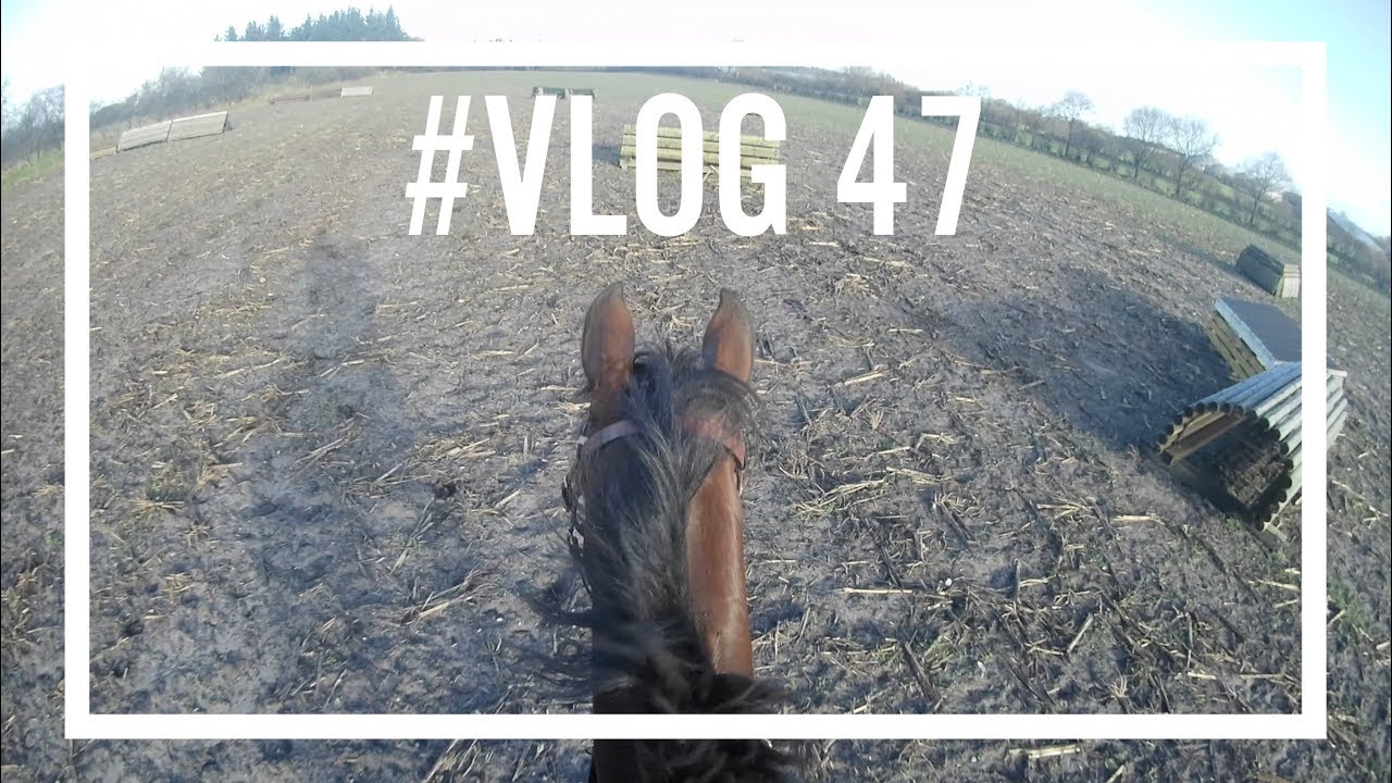 Ab ins Gelände mit der Actioncam! #VLOG 47 | PIA