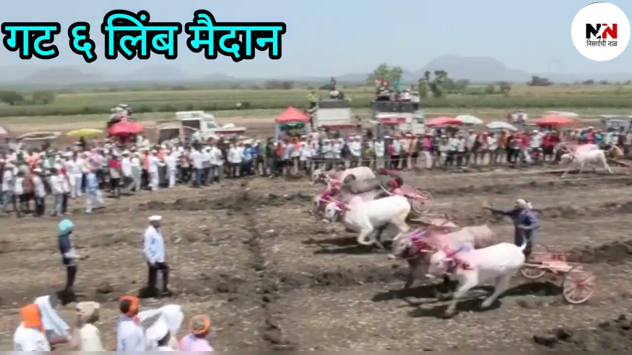 लिंब बैलगाडी मैदान गट-6 hotel jalsagar yancha vit #nisrgachinal #बैलगाडी