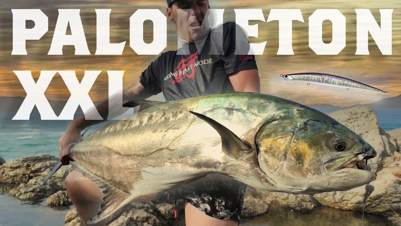 Spinning desde Costa - Palomet&oacute;n GIGANTE #25