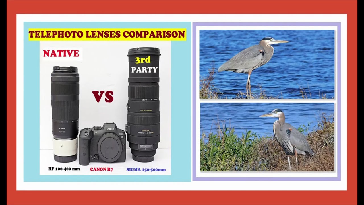 TELEPHOTO LENSES COMPARISON – NATIVE VS 3rd PARTY - Which one is Better?