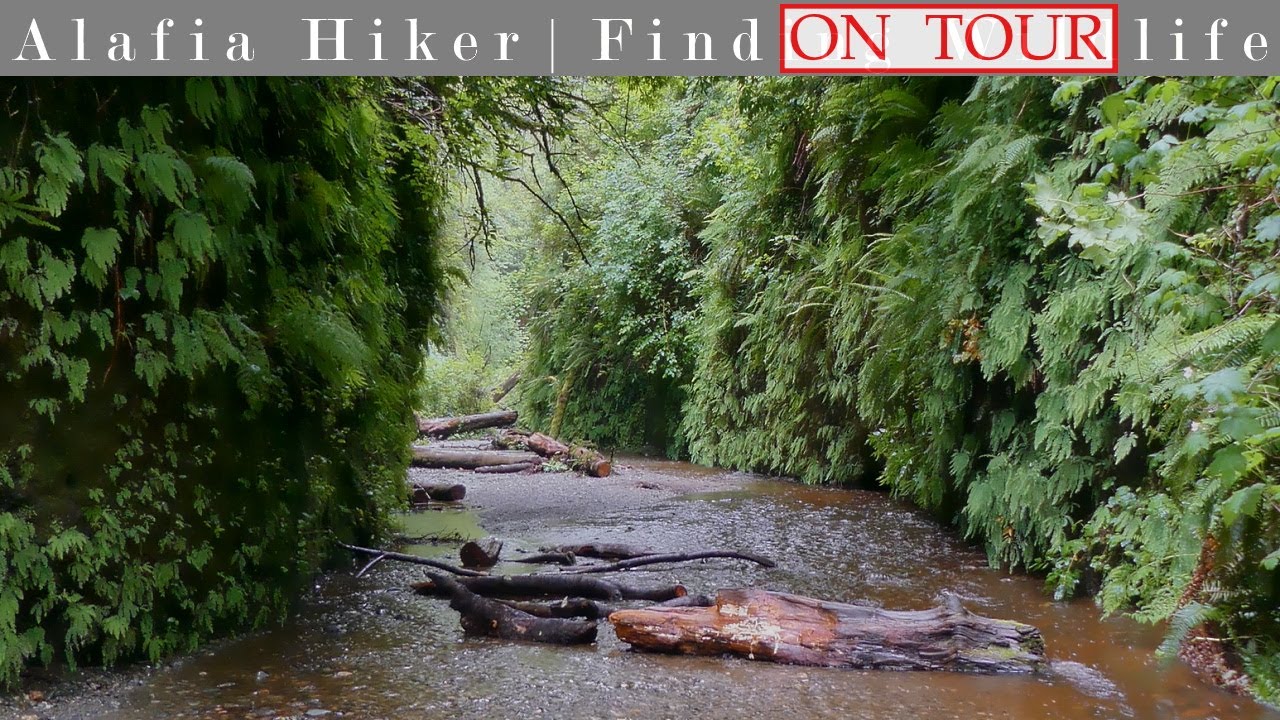 Hiking the Fern Canyon Loop Trail