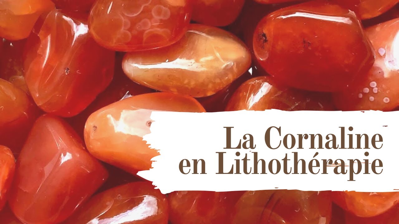 🧡 Cornaline : Vertus, Bienfaits & Utilisation | Pierre &Eacute;nergie & Cr&eacute;ativit&eacute;