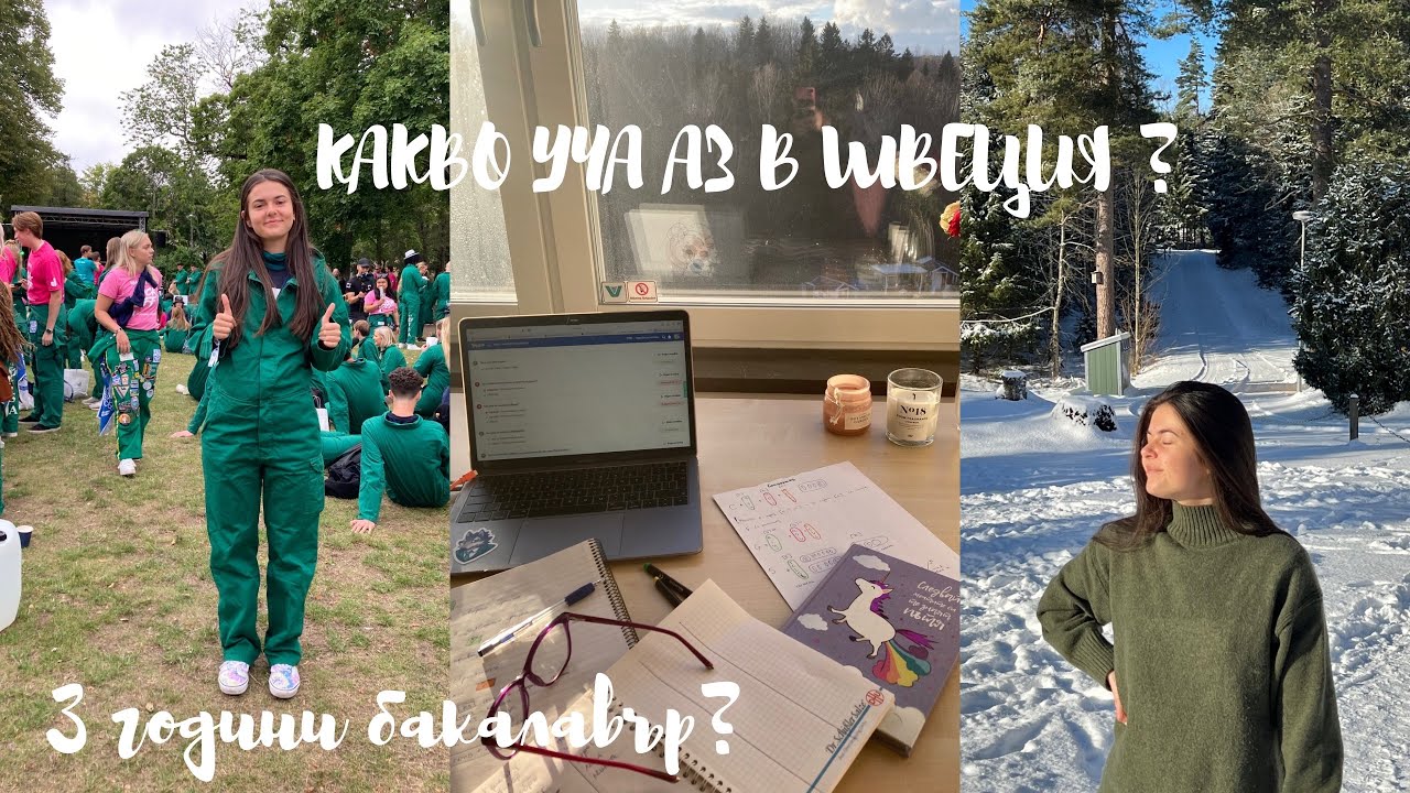 3 години бакалавър в Швеция/ Какво уча аз?/