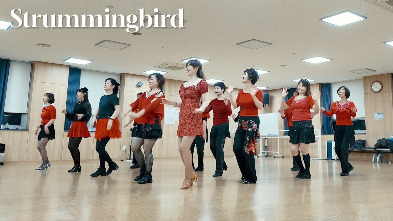Strummingbird Line Dance(Absolute Beginner)