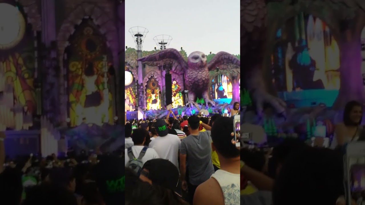 20150228 184826, #EDC #EDC2015 #electricdaisycarnival