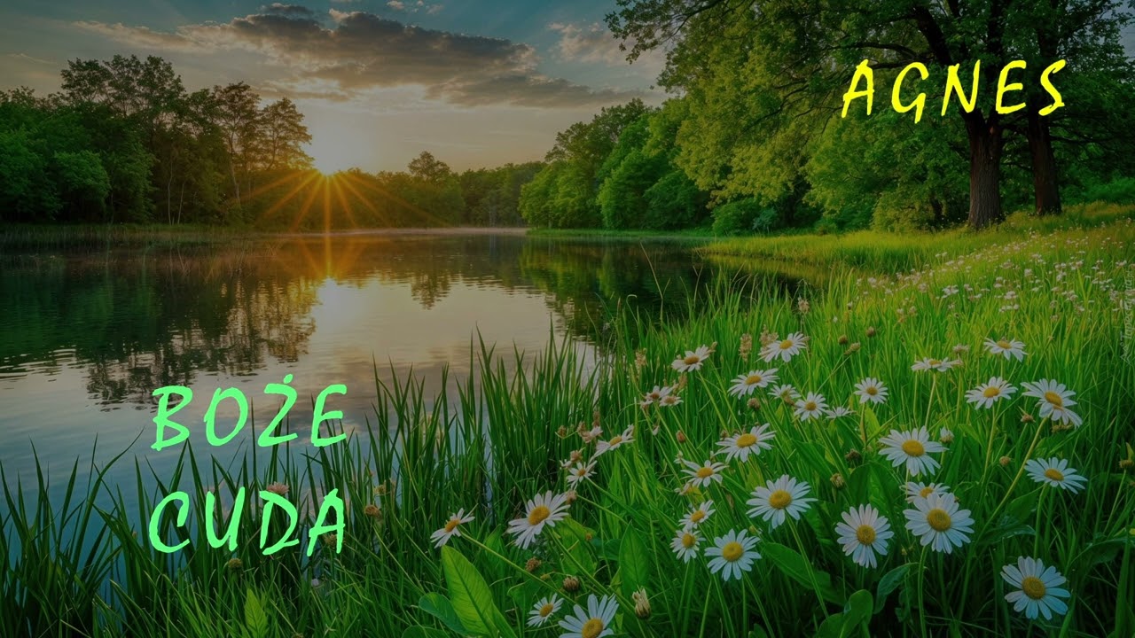 BOŻE CUDA - AGNES & A-TOM