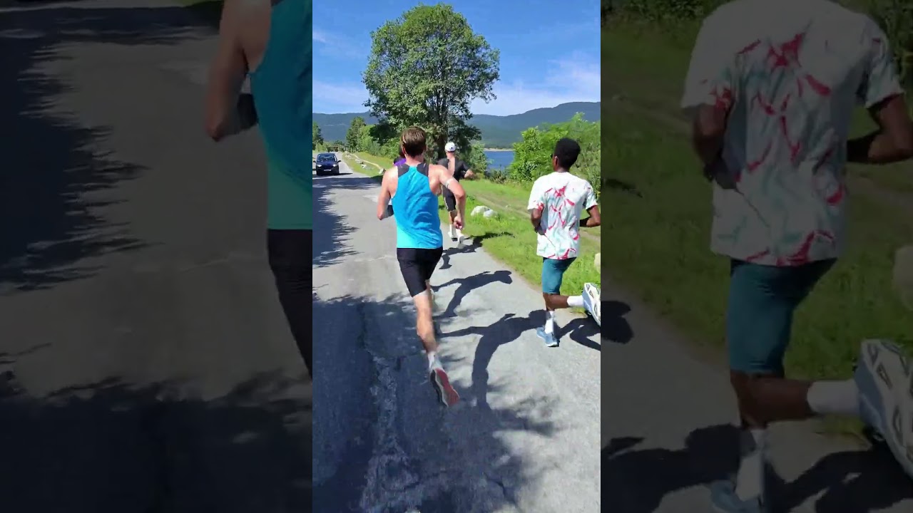 Morning Training In The Pyrenees