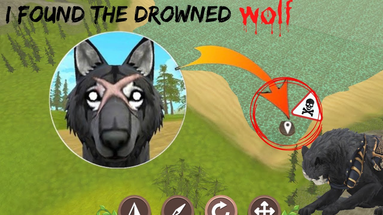 I found the the drowned wolf or really it found me!🐺😱😦