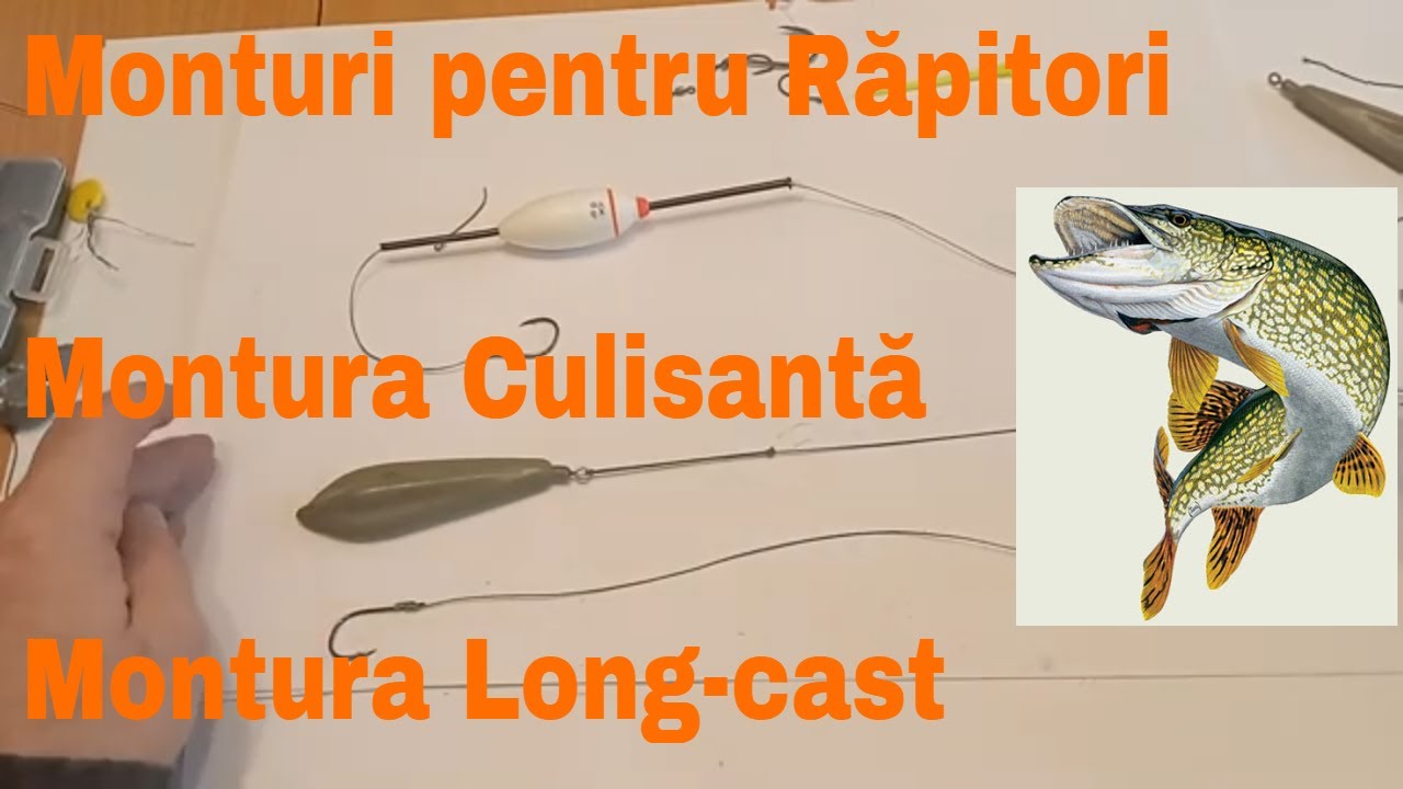 Două monturi pentru răpitor somn știucă si șalău montura culisantă si montura longcast