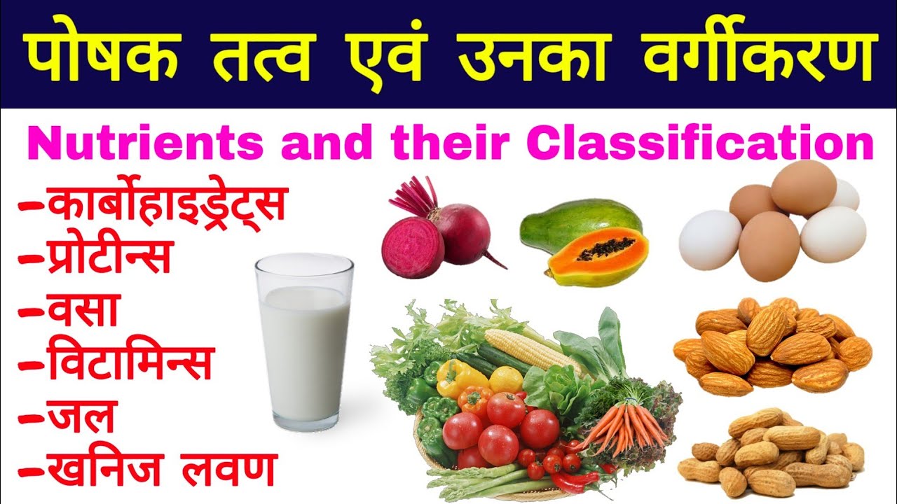 पोषक तत्व क्या है | पोषक पदार्थ का वर्गीकरण | poshak tatva | proteins, vitamins, fats, minerals
