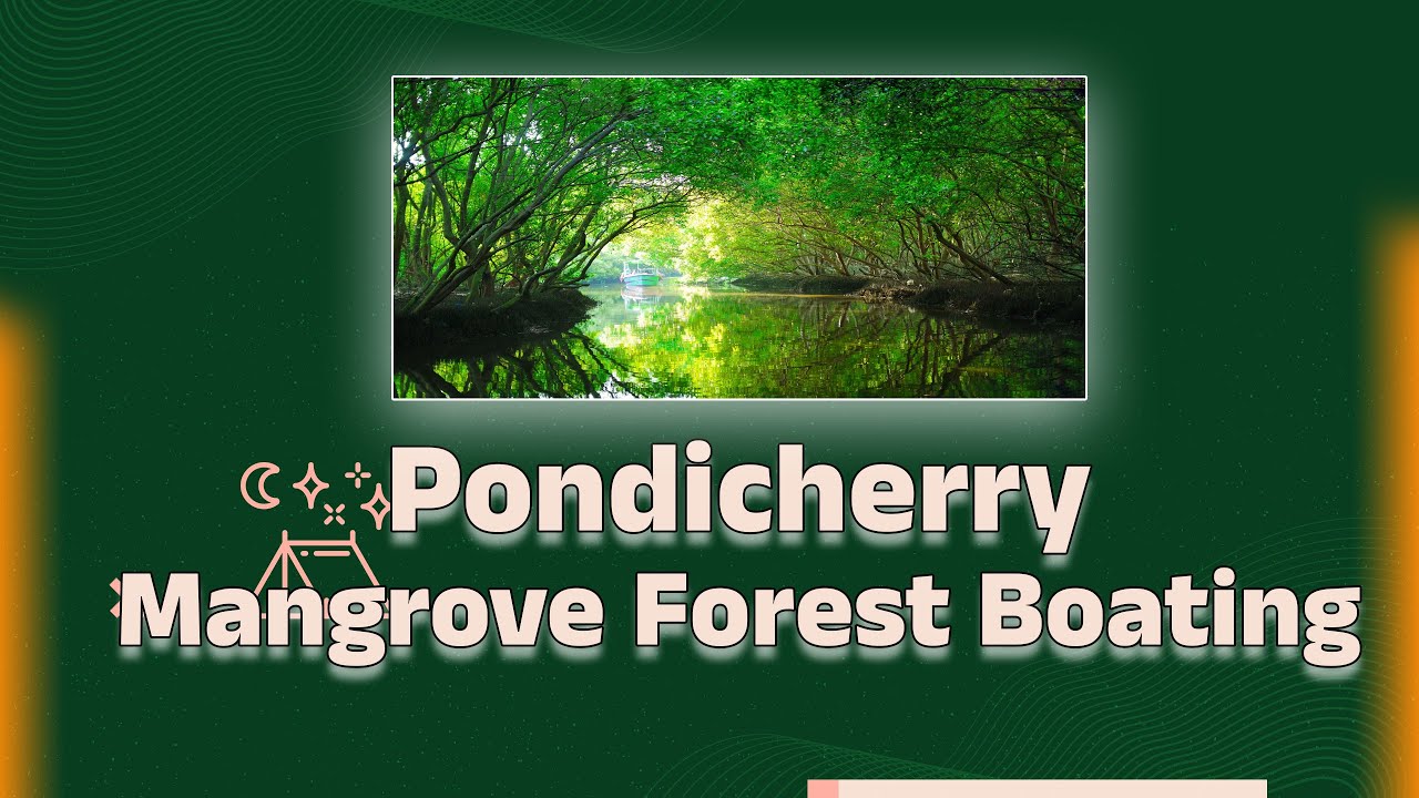 🌴 Pondicherry Mangrove Forest Boating | Hidden Nature Paradise | Best Eco Tourism