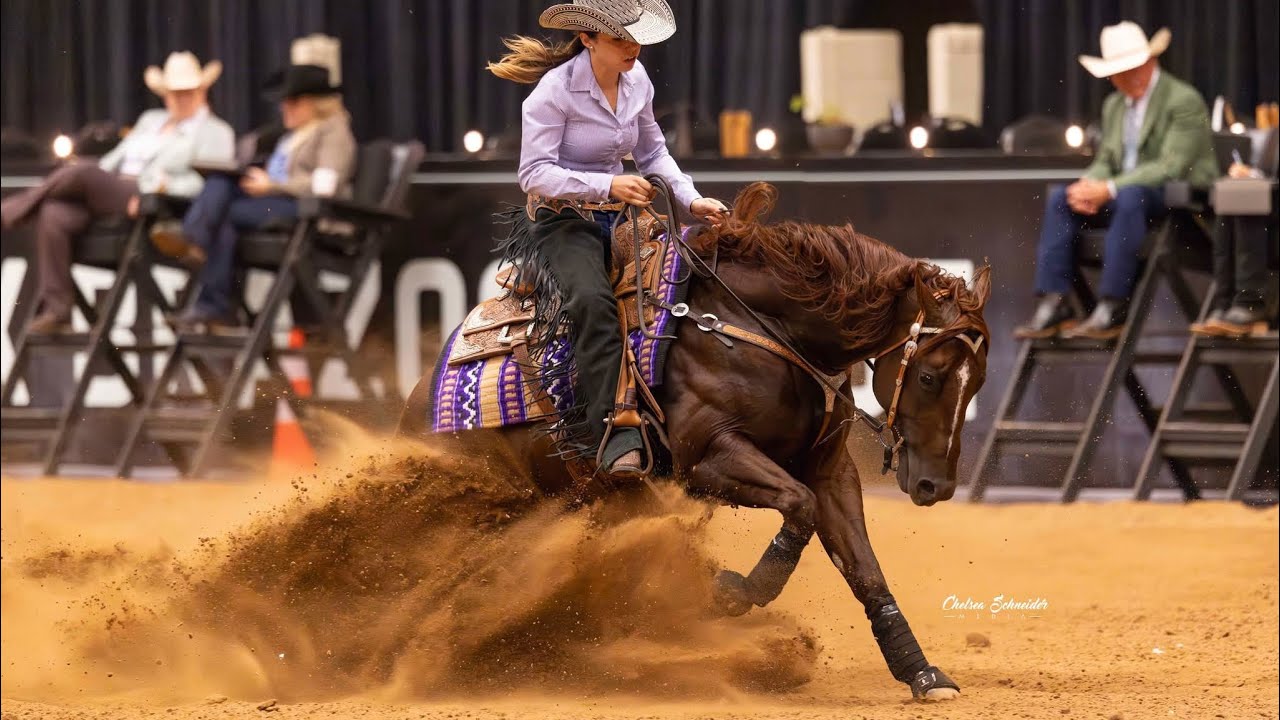 STOP THE NIGHT - 100X Brazos Slide Open Futurity 2025 
