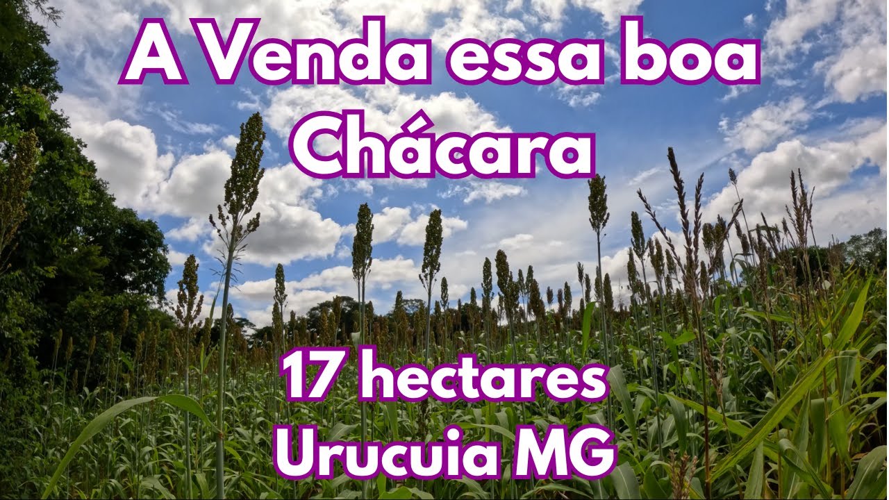 A Venda essa boa Chácara de 17 hectares - Urucuia MG