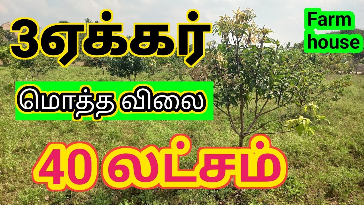3ஏக்கர் தார் ரோடு முகப்பு 650 அடி✅️👌 மா தென்னை கொய்யா தேக்கு வீடு ஷெட் #pannainilam#farmland#farming