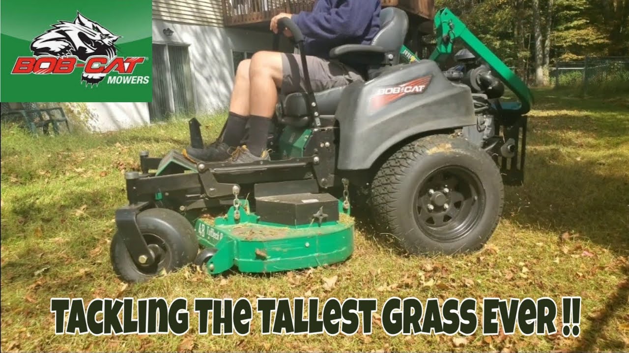 BOB CAT XRZ PRO MOWING TALL THICK GRASS