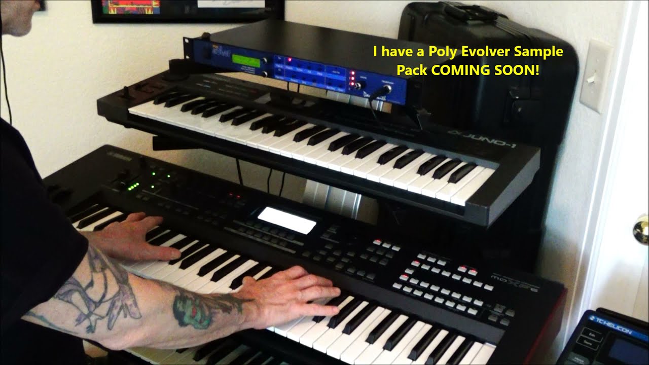 Dave Smith Poly Evolver Rack Super Analog Power Hybrid Synthesizer Rik Marston