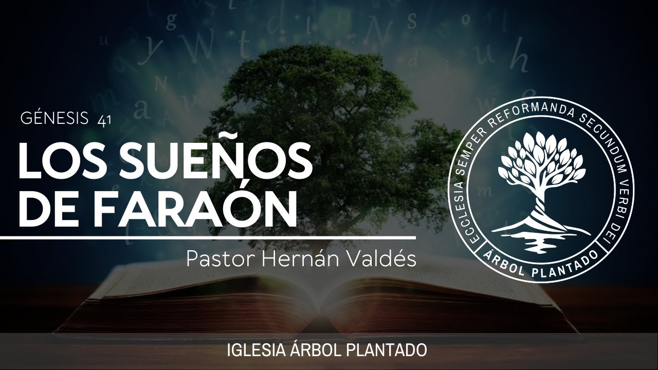 53 - Los sueños de Faraón  ( Génesis 41 )