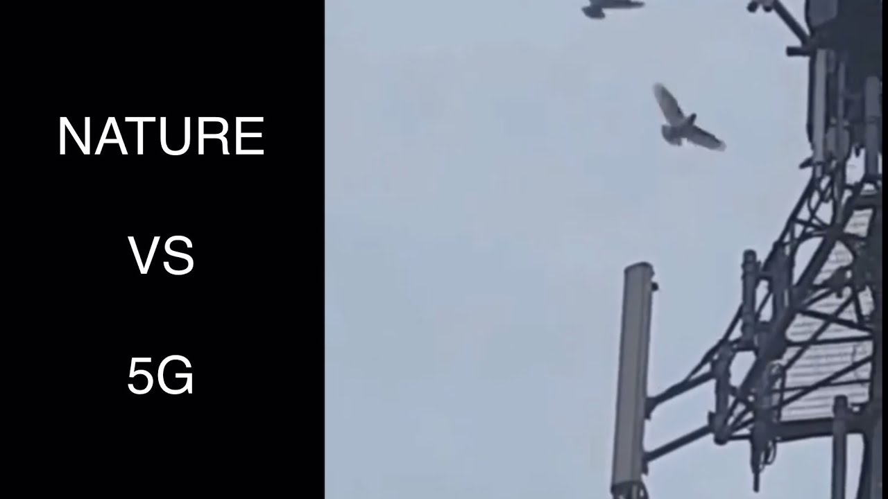 observing nature = connecting the dots