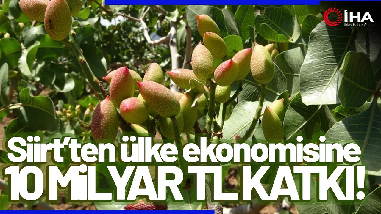 Siirt’ten Ülke Ekonomisine 10 Milyar TL Katkı