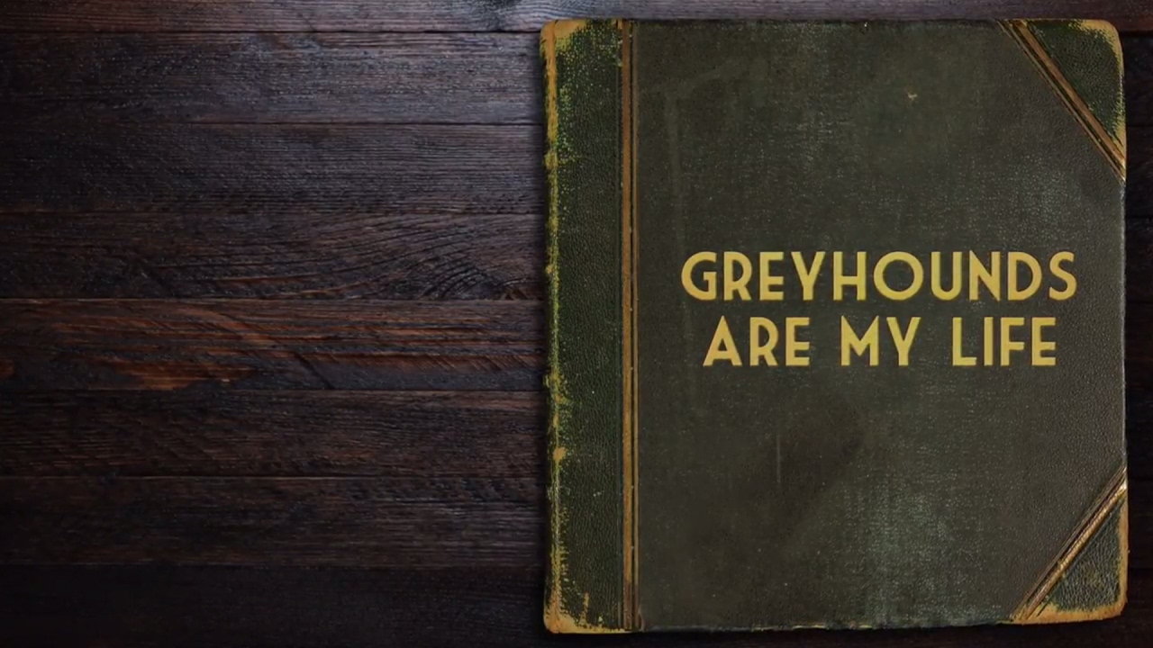 Greyhounds are My Life: Barry Toner